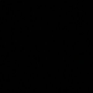 Meet your Posher, Charis